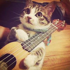 18禁色情👅❤️在线搜索
